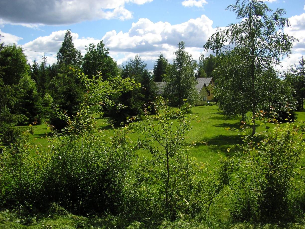 Kuva 3. Vanhojen omakotitalojen suurilla pihoilla (kuvio 5) on monipuolinen koristekasvilajisto. Kuvio 6. Tähän kuvioon kuuluu rakentamattomia tiloja Leskeläntien pohjoispuolella.