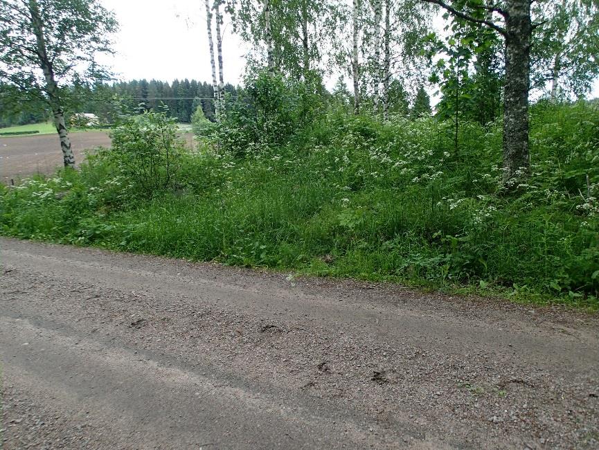 35 Huomiot: Laserkeilausaineistosta havaittiin, että Hanhijärven kylän itäreunalla sijaitsevalla Luukorvenmäellä on juoksuhautoja ja yksi suurempi kuoppa, joka näyttää pesäkkeeltä.
