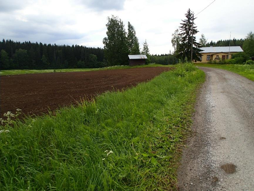 arkeologisen tietämyksen lisäksi suuresti maastotyökokemus ja kyvyt.