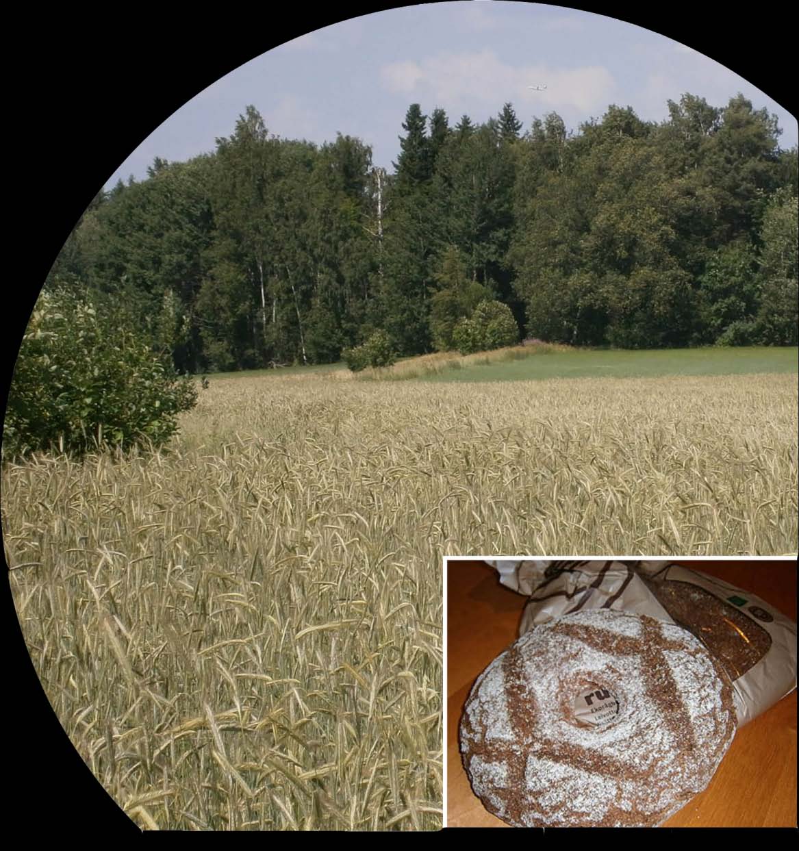 30 Luomuviljatuotteiden