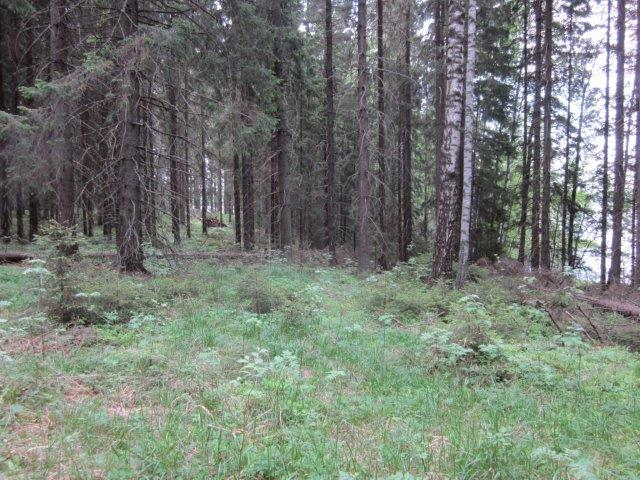 Alueella ei ole muita erityisiä luontokohteita tai ympäristöarvoja.