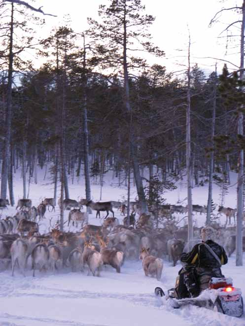 Furthermore, the working group proposed the compilation of a report on the application of the Akwé: Kon Guidelines to the management and land use plan in Finnish and North Saami.