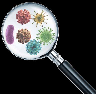 Mikrobit hoito- ja huolenpitotyössä Mikrobit ovat silmällä havaitsemattomia pieneliöitä: bakteereja, viruksia, sieniä ja alkueläimiä (parasiittejä eli loisia) 