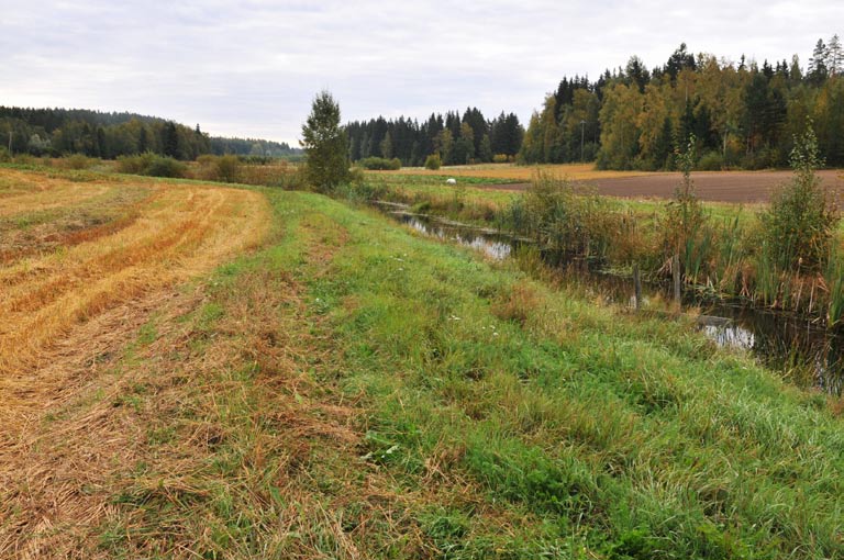 6. Kaakkolamminoja, padottu kosteikko Kuvaus: Kaukjärveen laskevaan Kaakkolamminojan kosteikkokohde sijaitsee Kaakkolammin länsipuolelle muodostuneessa peltonotkossa.