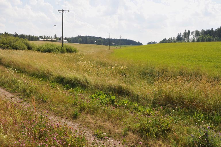 3. Haaranojaan laskeva pelto-oja, padottu kosteikko Kuvaus: Kauniisti aaltoilevien rinnepeltojen notkossa sijaitsevaan uomaan olisi mahdollista perustaa tukikelpoinen kosteikko patoamalla.