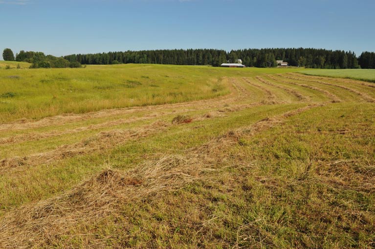 10. Varsanojan sivuhaara, padottu kosteikko Kuvaus: Maisemallisesti kauniisti viettävien rinnepeltojen muodostama notko, johon saisi perustettua erittäin vaikuttavan kosteikkoketjun patoamalla.