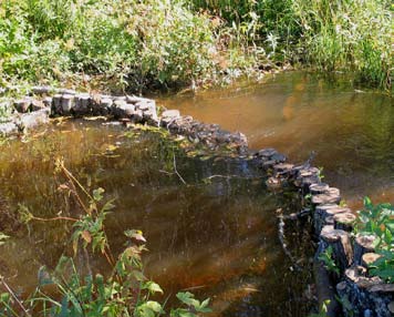 Aluetta, pääosin pajukkoa, raivattiin ennen kosteikon perustamista. Kosteikko sijaitsee Naturaalueella.