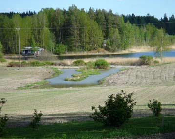 Viimeisessä kuvassa on kosteikko