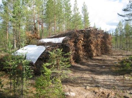 Olemme apunasi käytännön asioissa liittyen mm.