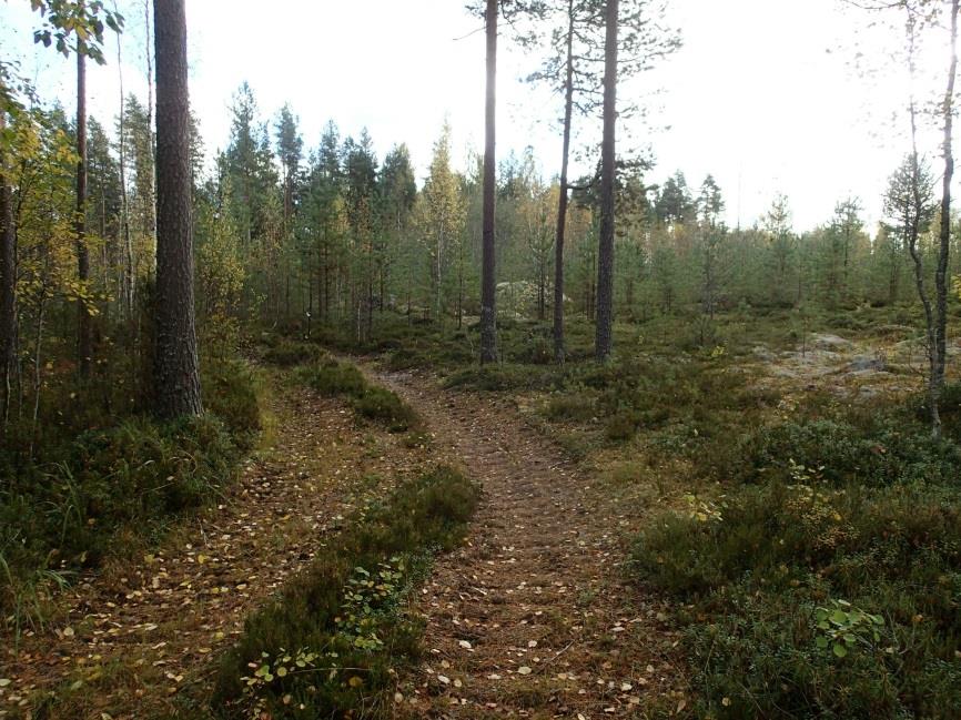 lakisuo ja sen ja itäpuolisen rinteen välillä on matala harjanne. Harjanne on kivikkoa, mutta kivet pienempiä kuin ympäristössä muuten. Röykkiön eteläpuolella kivikko koostuu suurista kivistä.