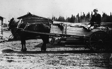 KEIJO JAAKOLA KOK. LANKKUJEN AJO KRISTIINANKAUPUNKIIN OLI AITOJEN HEVOSVOIMIEN VARASSA VIELÄ TÄLLÄ VUOSISADALLAKIN. KOVAPYÖRÄISILLE KÄRRYILLE LASTATULLA LANKKUKUORMALLA KALLE HAKAMAA 1920-LUVULLA.