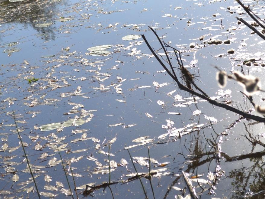 Mittarin on annettava olla vedessä jonkin aikaa, jotta voidaan varmistua mittarin näyttävän oikeaa lämpötilaa.