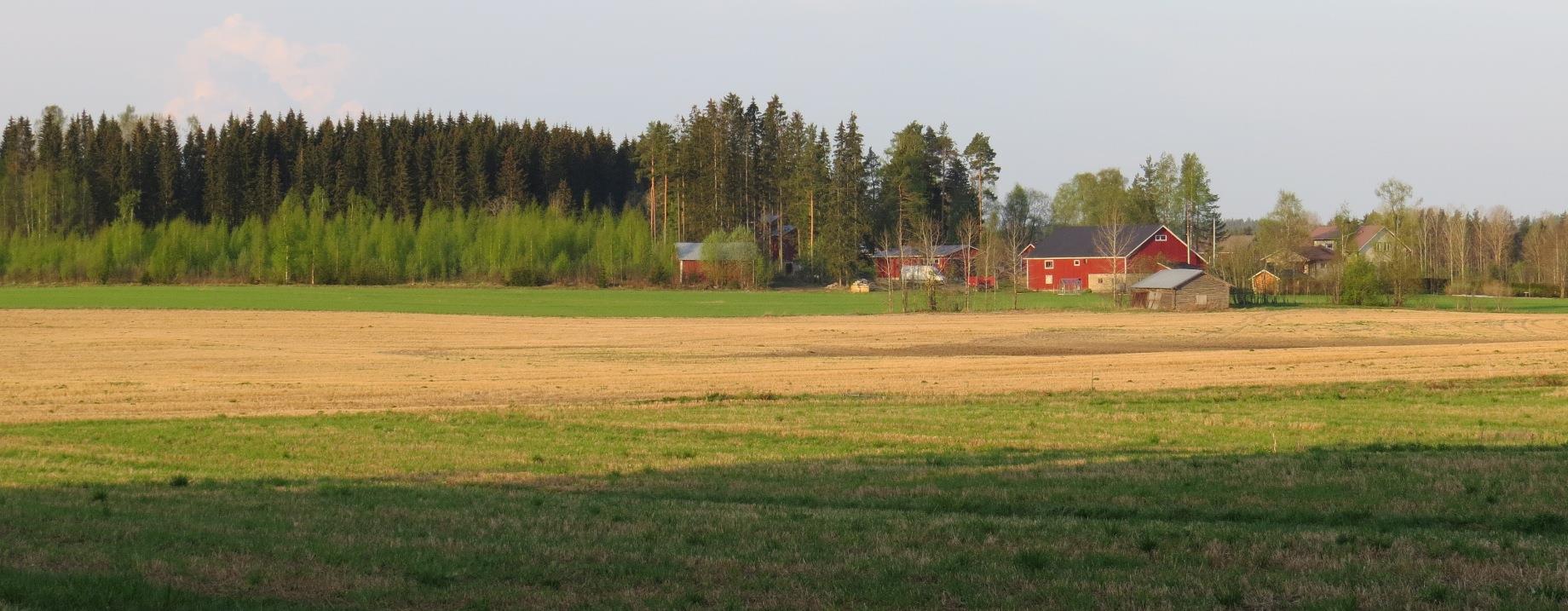 VT 13 Lappeenranta-Nuijamaa yleissuunnitelmaan liittyvä luontoselvitys 2013: Raporttiluonnos 21.10.