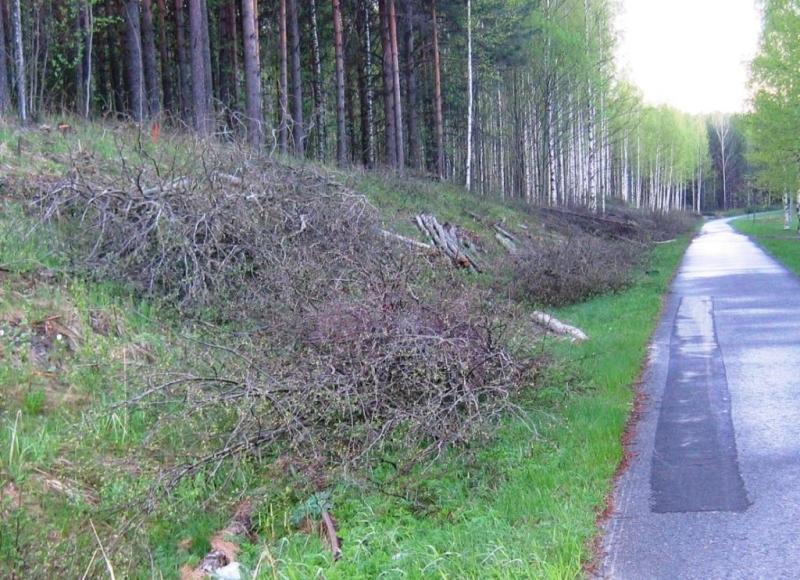 33 LUOKKA A A4 LUOKITTELUESIMERKKI Tienvarsipuu Kuvaus Käytöstä poistetun puun luokitus Jätteenpolttoasetuksen (151/2013) soveltaminen Soveltuvuus polton kannalta Kemiallinen käsittely Epäpuhtaudet