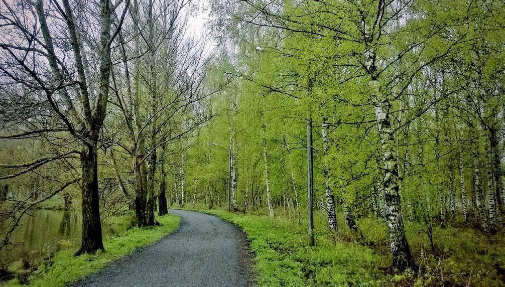 2 Majakka Pääkirjoitus Kolumni n 2/2015 Katso nuorta iloisena Nuorissa on toivo. Näin toukokuun lopussa monissa kodissa valmistaudutaan juhlaan.