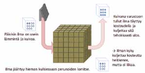 käyttötarkoitukseen sopiva, laadukas peruna. Kuva: Maarit Kari Kolhiintunut sato viilennetään hitaasti.