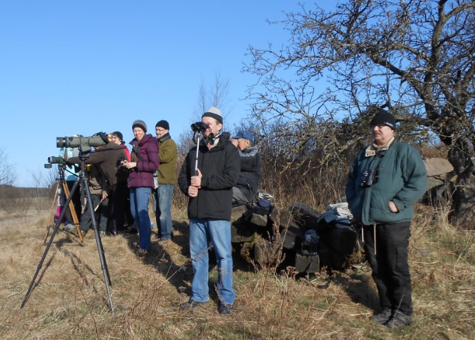 LINTURETKI SAARENJÄRVELLE 11.4.2015 Läuäntäiäämu äukeni tä ydellisenä klo 9 kylä täloltä stärtänneille linturetkeilijo ille.