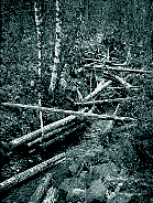 Jokiväylillä suoritettu irtouitto oli periaatteessa ilmaista, kun virta hoiti puiden kuljetuksen; työväkeä silti tarvittiin ja väliin runsaasti.