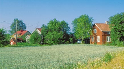 MAATILA TURVALLISEKSI LAPSELLE Maatila tarjoaa lapselle rikkaan kasvuympäristön, jossa on paljon virikkeitä ja tekemistä.