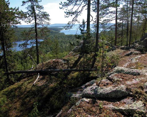 Jukka Husa Rantavyöhykkeen käsite tulee maankäyttö- ja rakennuslaista (MRL 72 ). Rantavyöhykkeen leveys vaihtelee tapauskohtaisesti ja on yleensä 50 200 metriä rantaviivasta.