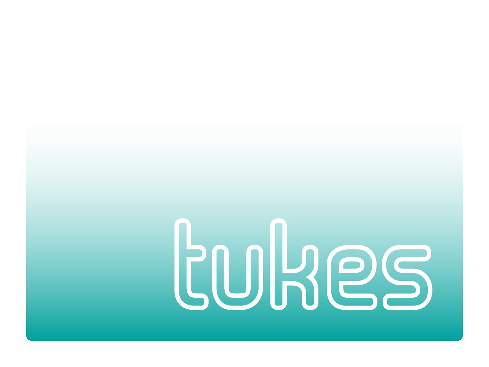 Finnish Safety and Chemicals Agency (Tukes) Sanna