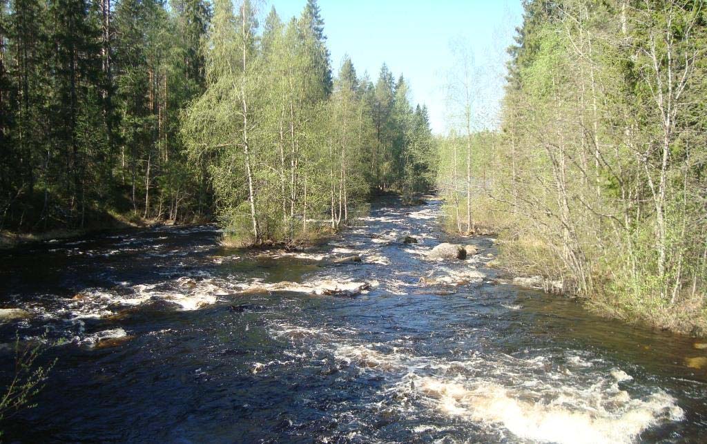 Yli-Vuokin koskireitillä keskeisimpiä kalastuskohteita ovat Saapaskoski (kuva 5), Paasonkoski ja Palokoski. Rajavyöhykkeen ja Juurikkalammen väliset koski- ja virtavedet ovat perhokalastusaluetta.