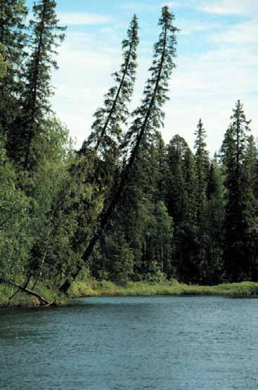 Ruonanjoki (Natura 2000 -koodi: FI 0353002) on eteläisen Suomen yksi tärkeimmistä jokiluonnon suojelukohteista.