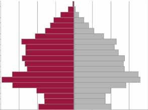 Helsingin ja kehyskuntien väestörakenne sukupuolen ja ikäryhmän mukaan 1.1.2011.