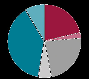 Muu/tuntematon 38,8 % 23,5 % Lähde: Tilastokeskus ja kiinteistöviraston asunto-osasto. 5,6 % asuntoja Kuva 13.