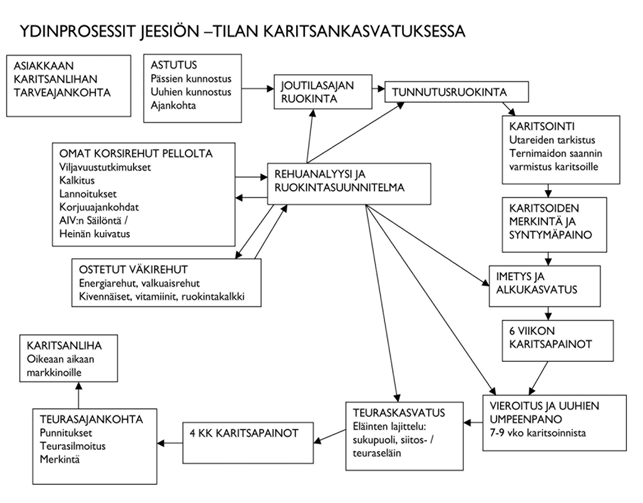 Tautiriskien hallinta tilatasolla -yleisohjeet ETT:n 10 ohjetta tuottajan turvaksi 24.