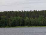 KOLLAJA KESTÄÄ KAMPPAILU IIJOEN PUOLESTA PIRKKO-LIISA LUHTA Kalataloussuunnittelija, Pudasjärvi Iijokivarren asukkaat ovat vuosikymmeniä puolustaneet jokeaan voimayhtiötä vastaan.