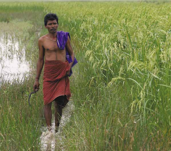 Tuhannet intialaiset viljelijät ovat tehneet itsemurhan veden saastumiseen ja pohjaveden ehtymiseen liittyvistä syistä. jotka eivät kasvaisi.