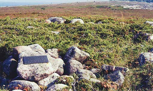 Joidenkin tietojen mukaan hän on jopa oleskellut ja saarnannut siellä vuoden tai pari.