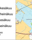 päiväpiilopai kkoja kuten