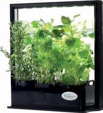 Grow Pot sopii erityisesi käytettäväksi kasvusäkeissä tai kasvupaikoissa missä on ohut multakerros. Kastelulieriössä on kastelupiikit jotka johdattavat veden lähelle juuria.