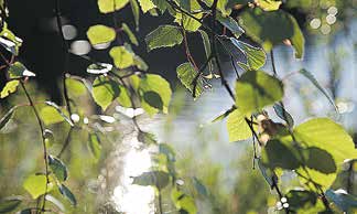 22 Rauhan Tervehdys Nro 22 1. 15.7.2015 Seurakunnissa tapahtuu 1. 15.7.2015 Kempele www.kempeleenseurakunta.fi / vaihde / tiedustelut p.