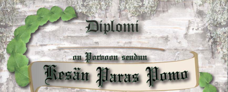 12 muodosta, johon toimijat ovat voineet omien resurssiensa mukaan sitoutua. Toiminnan jatkamiselle ja edelleen kehittämiselle näyttää olevan tarvetta.