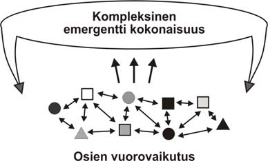 7.4.1 Itseorganisoituminen ja ilmaantuminen Itseorganisoituminen (self organization) ja ilmaantuminen (emergence) 203 ovat systeemien kompleksisuutta käsittelevien teorioiden keskeisiä