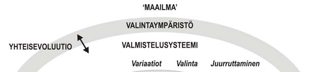 Kuva 33. Yhteisevoluutio ja valintaympäristö (mukaillen Sotarauta & Srinivas 2006, s.