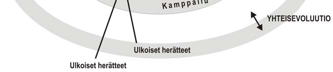 Valmistelutyössä sisäiset tekijät ja toimijoiden pyrkimykset ilmenevät usein vastakkaisina ja keskenään kilpailevina intresseinä.