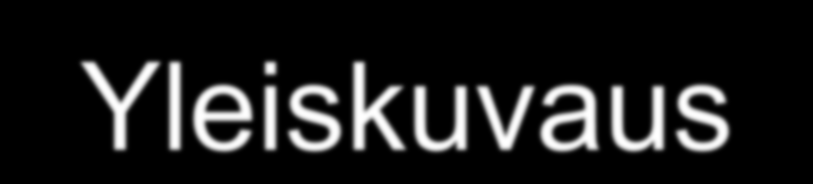 Yleiskuvaus 600 000 400 000 200 000 0-200 000-400 000-600 000-800 000-1 000 000 Toteutuma Vaihtoehto Panos Myynti Ostot Organisaatio Palautuva/ kunta