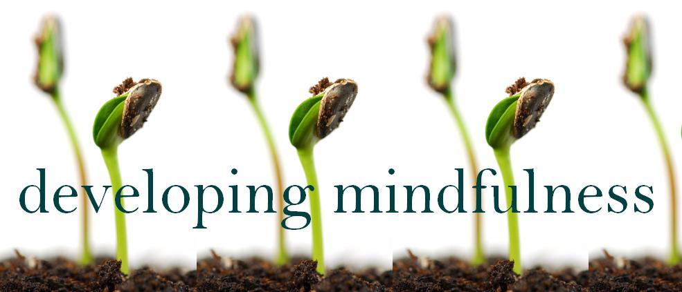 Mindfulness- eli tietoisuutaitojen taito