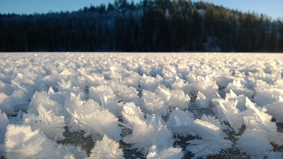 Kiitos