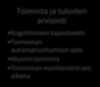 Tilanteen hahmottamisesta toimintaan Toimintaa vaativa tilanne Lentokone, tilanteen piirteet, sää yms. Millainen rooli minulla on tilanteessa Fyysinen, psyykkinen.