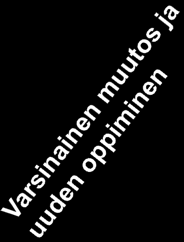 Muutos ja tunteet (Arikoski, Sallinen 2007) 2. Vastustaminen 8. Sitoutuminen VIHA 3. Luopuminen 7.Yhteistyö ILO 6.