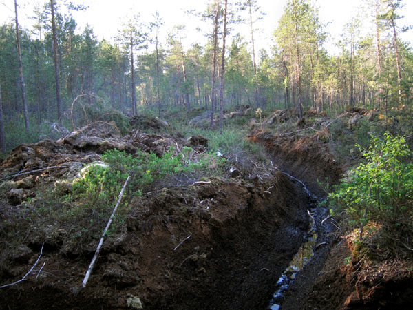 Kiiski, J., Neumann, A., ja Siira, O-P. 2009: Seinäjoen Hangasnevan luontoselvitys. Luonto-osuuskunta Aapa. Tutkimusraportti 51, 2009. Kuva 5. Suon itäosassa on aapasuota Kuva 6.