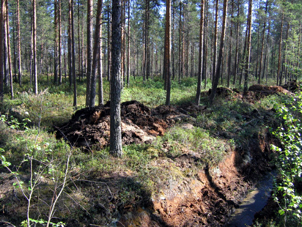 Reuna-alueille on kaivettu uusia ja syviä syvennyksiä ojiin, kivennäismaahan asti.