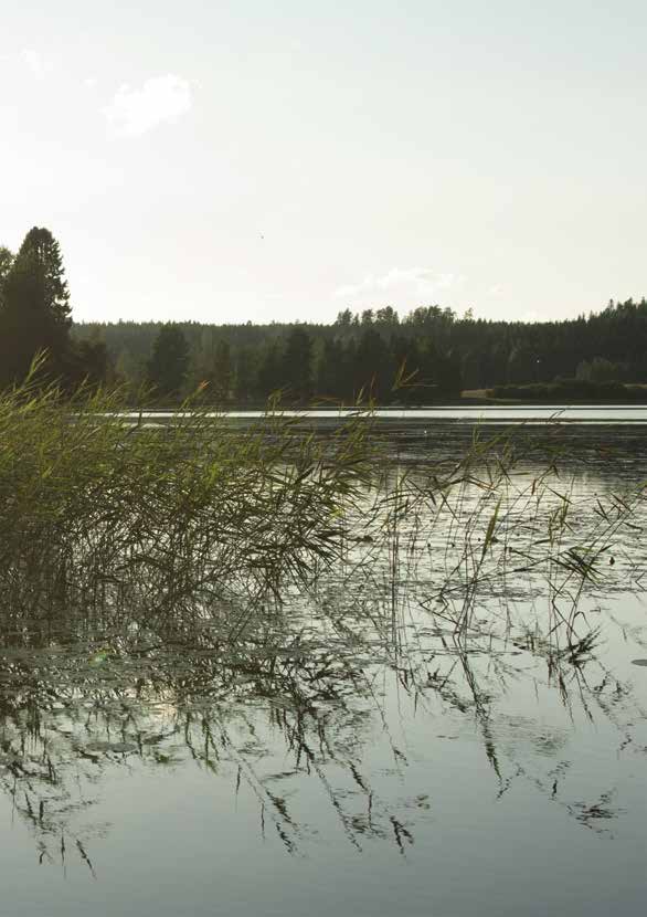 Kesä