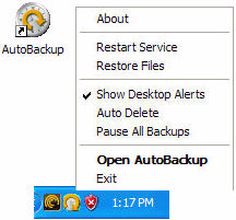 FreeAgent Tools- ja AutoBackupkuvakkeiden käyttäminen Kun FreeAgent Tools- ja AutoBackup-ohjelmat on asennettu, ohjelmien kuvakkeet tulevat näkyviin tietokoneen työpöydälle ja