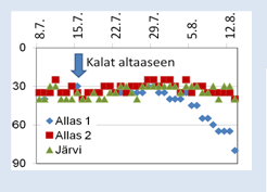 5.6. 15.6. 25.6. 5.7. 15.7. 25.7. 4.8. 14.8. 24.8. 3.9. Karvianjärvi Karvianjärven koealtaiden ja järven näkösyvyys oli kokeen alkaessa vain 30 cm. Kalaton allas A1 alkoi kirkastua heinäkuussa.